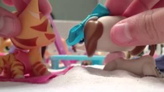 Littlest Pet Shop - Life Of A Mermaid - Episode 1 - Transformation