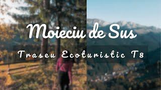 Toamna in Moieciu de Sus | Traseu Ecoturistic T8