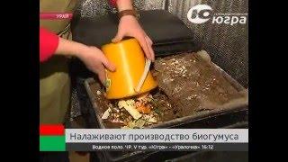 В Югре налаживают производство биогумуса  (Вермикультивирование)