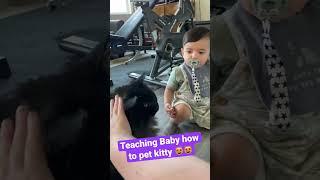 Teaching a baby how to pet a cat  #cats #cute