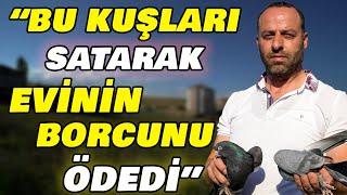 "KUPADA BİRİNCİ OLAN KUŞUMU KAYBETTİM" - Erdal Cengiz Kümes Ziyareti ve Kuş Uçumu