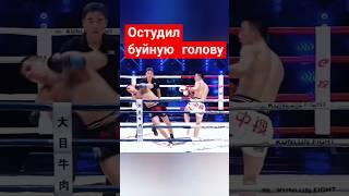 Остудил буйную голову #mma #бокс #russia #тайскийбокс #Россия