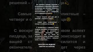Смотри видео прогноз на канале и обязательно подпишись 