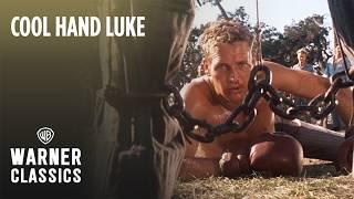 Cool Hand Luke | Luke Boxes Dragline | Warner Classics