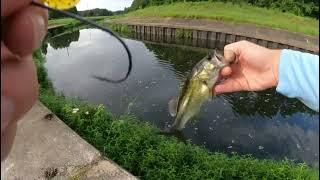 Urban creek Bass fishing (Alabama)