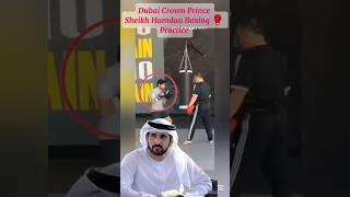 Dubai Royal Family|Dubai Crown Prince Sheikh Hamdan Boxing practice#lifestyle#faz3#hhshkmohd#love