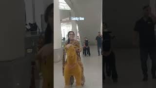 Funniest Horse Act Ever! | Lucky one mall | Syed Amin Shorts