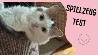 Test AniOne Spielzeug Snackboard Activity lustige Katzenvideos#cats  #test