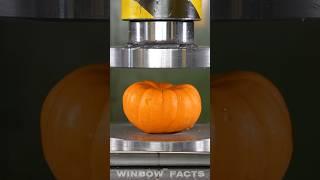 Pumpkin  Hydraulic Press #experiment #asmr #gadegets #facts #shorts