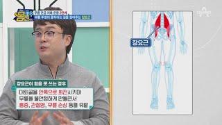 무릎이 버티지 못하면 '장요근'이 약해져있는 상태다?! 장요근 강화 운동은?! | 나는 몸신이다 364 회