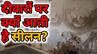 Source of Dampness | दीवारो पर सीलन क्यों आती है | How to Repair Dampwall Easily | Dampwall solution