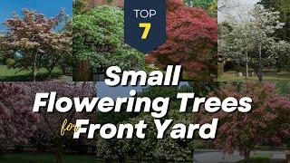 Best 7 Small Flowering Trees for Front Yard  Beautify Front House Garden! 