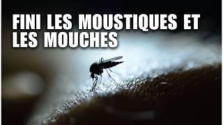 Comment se débarrasser des mouches et des moustiques : Solutions maison infaillibles