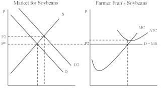 Econ - Perfect Competition Market Dynamics