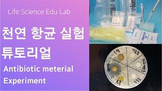 천연 항생물질 찾기 실험 (FInding natural Anti biotic material experiment for Student) 라이프 사이언스 에듀랩