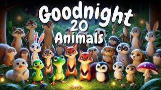 Let's Say Goodnight to 20 Woodland Creatures  The PERFECT Cozy Bedtime Story for Babies