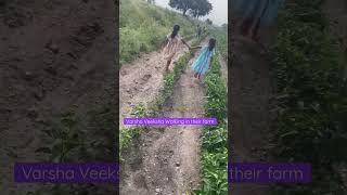 Varsha Veeksha is enjoying in their farming land #enjoy #farming #farmland #walkthrough #kids