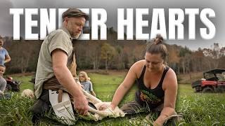 Tender Hearts Kill Her 1st Lamb