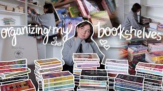 re-organizing and decorating my bookshelves🫶*bookshelf tour* bookmas day 3