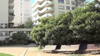 Grow Paradise #18 Loquat Food Forest in Paris