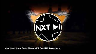 Anthony Harm Feat Mingue - If I Ever [PM Recordings] ⳼ NXT Music