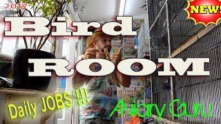 Bird ROOM - Daily Jobs Vlog - Pet Bird Care 2017!