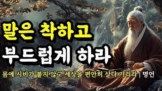 몸에 시비가 붙지 않고 세상을 편안히 살다 가리라 | 채근담, 한비자, 법구경, 역경, 석가모니, 노자, 쇼펜하우어 인간관계 명언 | 말은 착하고 부드럽게 하라