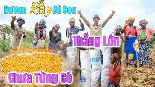 Huy Khánh Vlogs || Thành Quả Thu Hoạch Ở Nương Rẫy Của Bà Con - Bất Ngờ Chưa Từng Có - Thắng Lớn ???