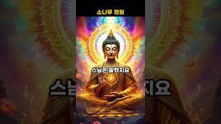 내 마음이 만든 괴로움 | #shorts | 부처님말씀 | 불교명언 | 부처님가르침 | 삶의지혜