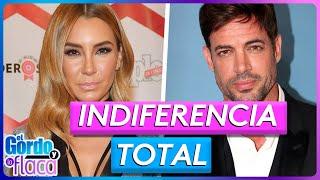 William Levy ignores Elizabeth Gutiérrez in front of their children  | El Gordo Y La Flaca