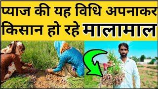 प्याज़ की इस विधि से हो रहे किसान मालामाल  | Smart Farming In India | Pyaj Ki Kheti | Farming