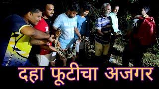 10 ft long Indian python | दहा फूटीचा इंडियन अजग |  #uran #karanja #snake #python