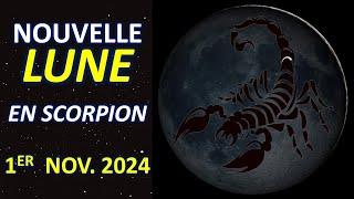 LA NOUVELLE LUNE EN SCORPION DU 1ER NOVEMBRE 2024 AUX LUMIÈRES DE L'ASTROLOGIE