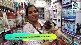 PGPET Pet Shop Customer Feedback