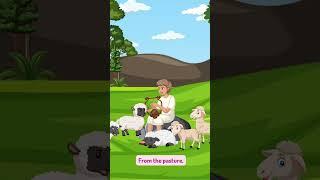 David|Bible Stories and Songs For Kids