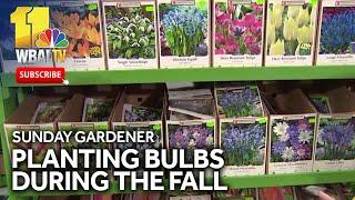 Sunday Gardener: Planting Bulbs in the fall