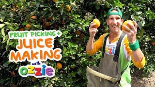 Learn How Juice is Made | From Farm to Bottle | Educational Video for Kids