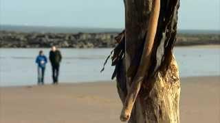 manonabeach® - BBC Scotland - Reporting Scotland