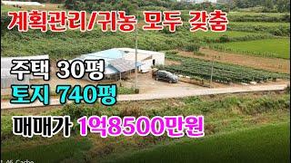 홍성군 결성면 등기된 농가주택과 넓은 밭 농지원부 740평/주택30평 /1억 8500만원 전원주택매매 농가주택매매 시골집매매 홍성부동산 예산부동산 부동산필