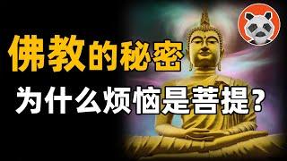 佛教最大的秘密，为什么你就是佛？烦恼即菩提？【熊貓周周】