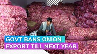 India Bans Onion Exports Until March 2024 Amid Price Surge