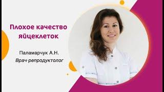 Плохое качество яйцеклеток: что делать?