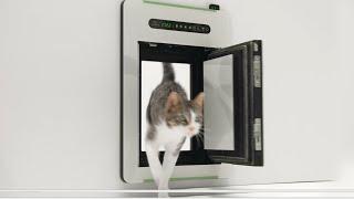 petWALK - The new freedom | Innovative dog doors & cat doors