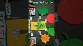 PARTS OF PLANT WE EAT #shortvideo #tlm #tlmmaster