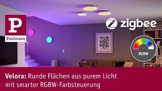 Velora LED-Panels: Runde Flächen aus purem Licht mit smarter RGBW-Farbsteuerung