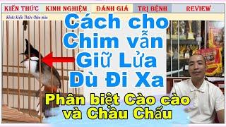 Chim di chuyển vùng miền làm sao để giữ Lửa, phân biệt cào cào và châu chấu