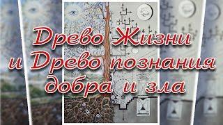 ДРЕВО ЖИЗНИ И ДРЕВО ПОЗНАНИЯ ДОБРА И ЗЛА.  Игорь Голаев. Русское Евангелие