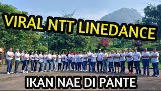 IKAN NAE DI PANTE - ALFRED GARE FT PAX GROUP - NTT VIRAL LINE DANCE