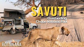 BOTSWANA  Abenteuer Savuti | Chobe National Park im Okavango Delta | Marshroad Overlanding Safari