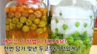매실청 실패 없이 제대로 담그는 비법! 제가 몇십년 동안 담그면서 알아놓은 노하우를 다 담았어요ㅎㅎ